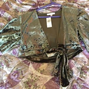 American eagle green velvet crop